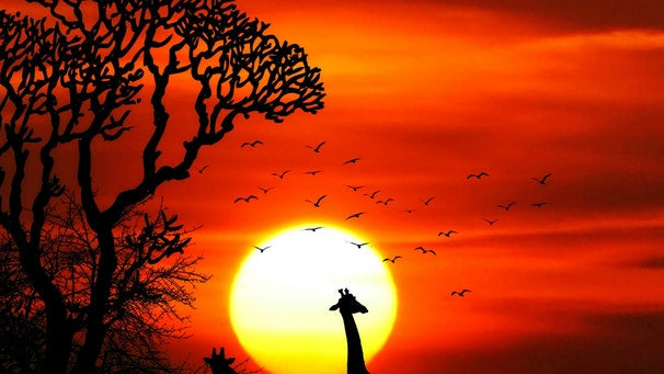 South African Slang Everyone Should Know