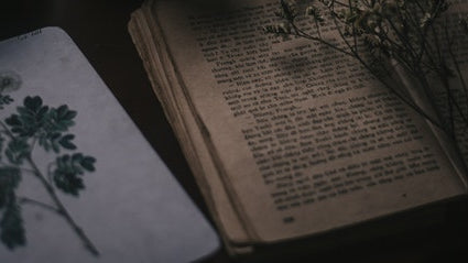 Top 5 Quotes from Writers and Poets