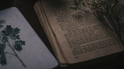 Top 5 Quotes from Writers and Poets