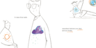 Listen to Your Diddalum page 3 by Emily Child and Maria Lebedeva